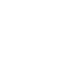 Audit expertises